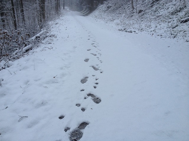 Doctor Walks Six Miles in Snow to Perform Life-Saving Brain Surgery